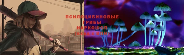 эйфоретик Алзамай