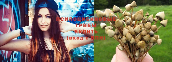 эйфоретик Алзамай