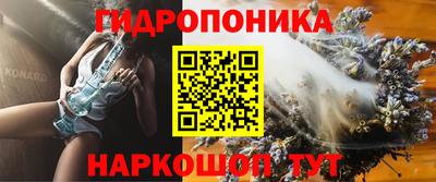 apvp Гай
