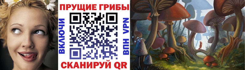 Галлюциногенные грибы Psilocybe  наркошоп  Калач-на-Дону 