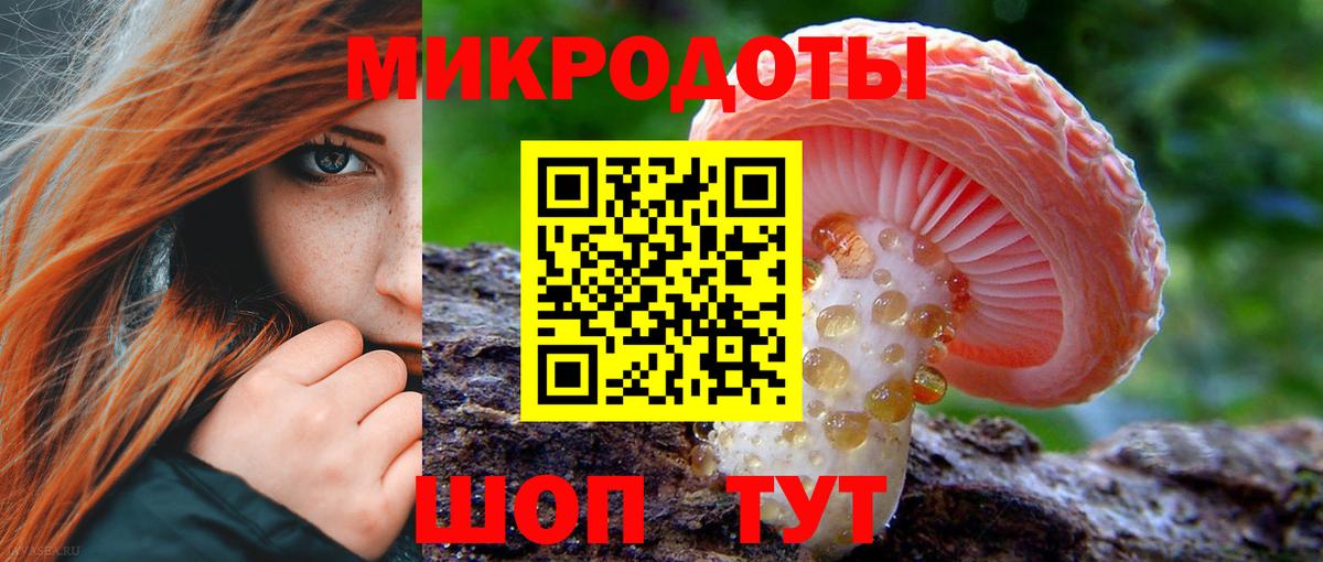 Галлюциногенные грибы Psilocybine cubensis Калач-на-Дону